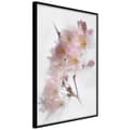 Miniatyrbild 2 av 11: Inramad Poster / Tavla - Scent of Spring