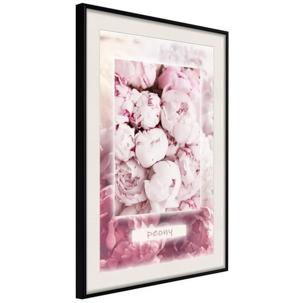 Inramad Poster / Tavla - Scent of Peonies