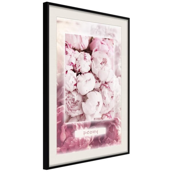 Inramad Poster / Tavla - Scent of Peonies