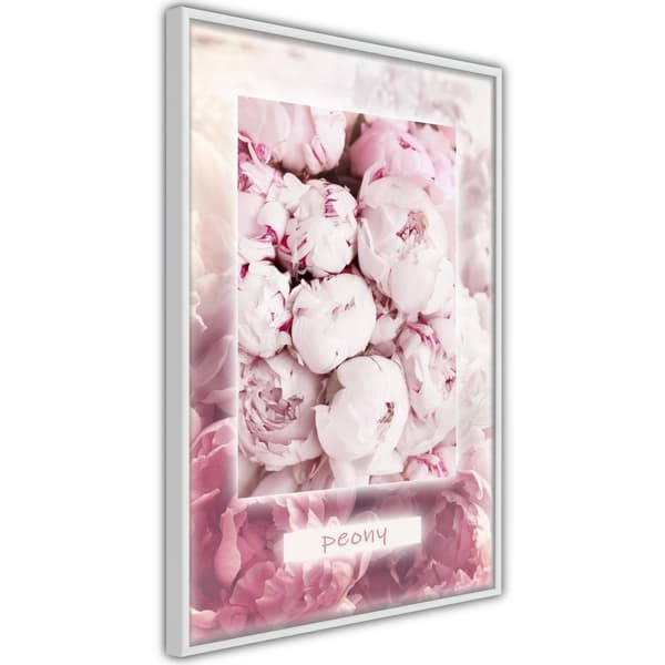 Inramad Poster / Tavla - Scent of Peonies