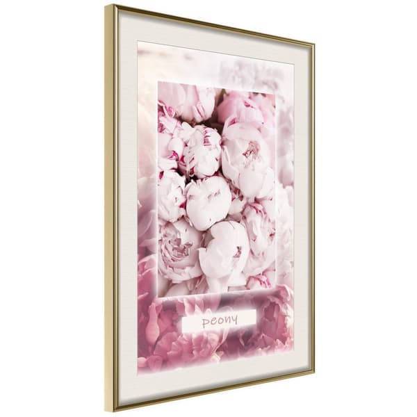 Inramad Poster / Tavla - Scent of Peonies