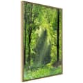Miniatyrbild 1 av 11: Inramad Poster / Tavla - Forest Path