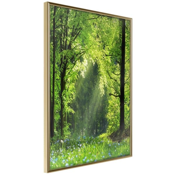 Inramad Poster / Tavla - Forest Path