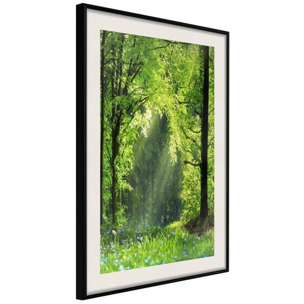 Inramad Poster / Tavla - Forest Path