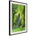 Miniatyrbild 4 av 11: Inramad Poster / Tavla - Forest Path
