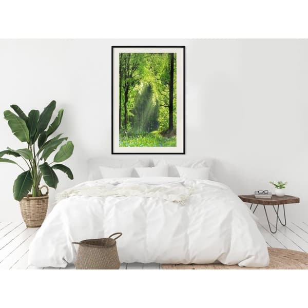 Inramad Poster / Tavla - Forest Path