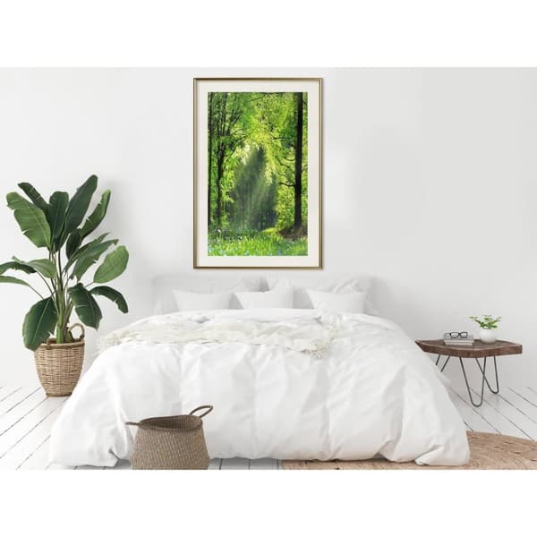 Inramad Poster / Tavla - Forest Path
