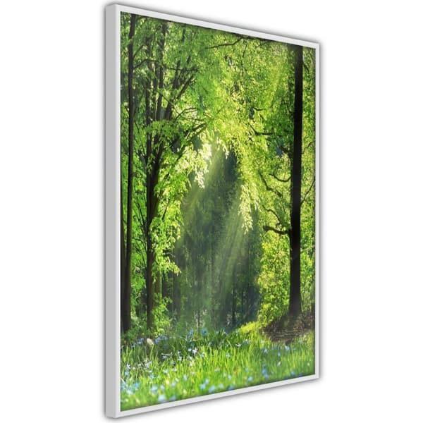 Inramad Poster / Tavla - Forest Path