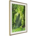 Miniatyrbild 9 av 11: Inramad Poster / Tavla - Forest Path