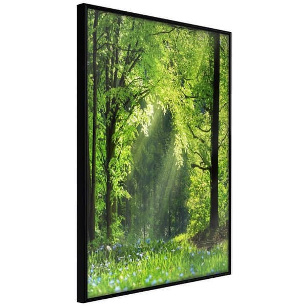 Inramad Poster / Tavla - Forest Path
