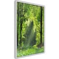 Miniatyrbild 1 av 11: Inramad Poster / Tavla - Forest Path