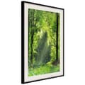 Miniatyrbild 1 av 11: Inramad Poster / Tavla - Forest Path
