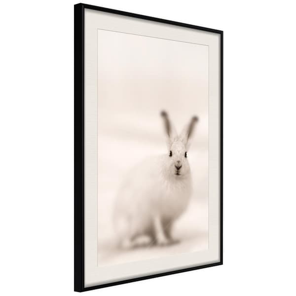 Inramad Poster / Tavla - Curious Rabbit