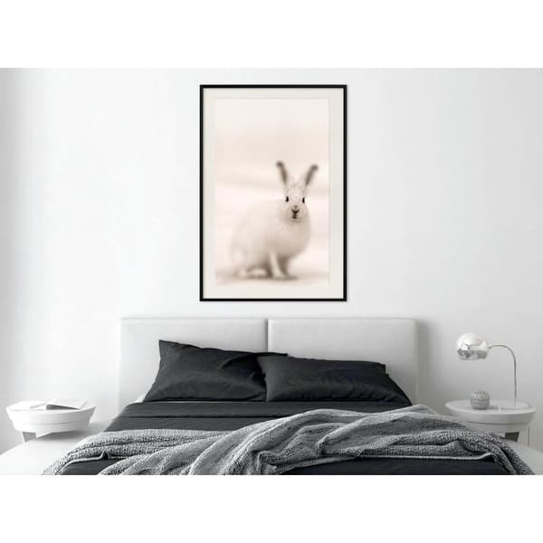 Inramad Poster / Tavla - Curious Rabbit