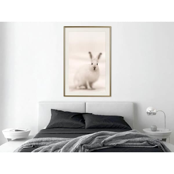 Inramad Poster / Tavla - Curious Rabbit