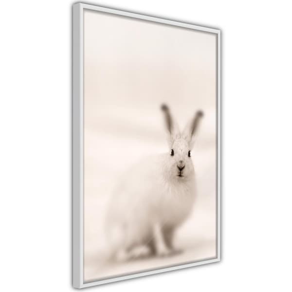Inramad Poster / Tavla - Curious Rabbit