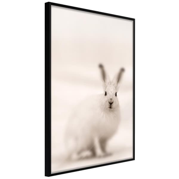 Inramad Poster / Tavla - Curious Rabbit