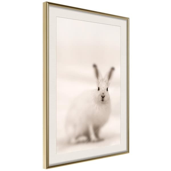 Inramad Poster / Tavla - Curious Rabbit