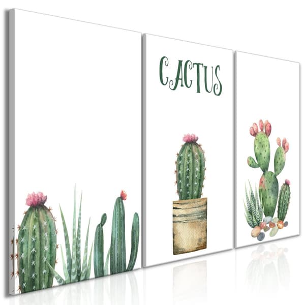Canvas Tavla - Prickly Flowers (3 delar) 120x60
