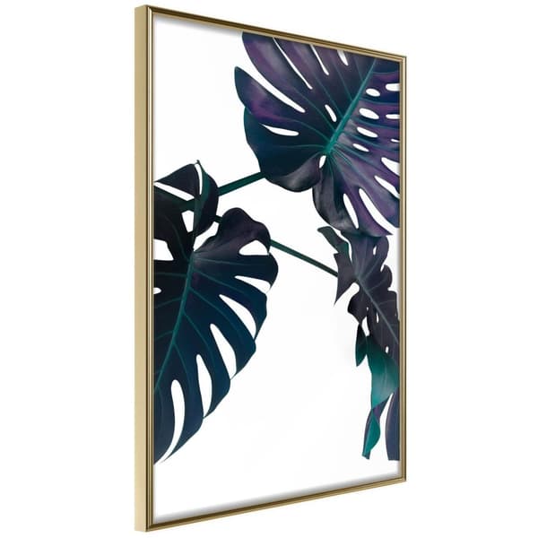Inramad Poster / Tavla - Evergreen Monstera