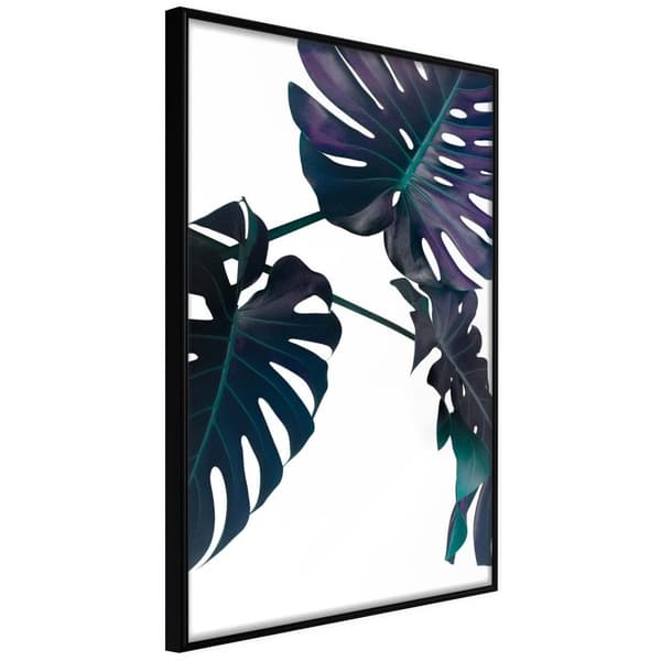 Inramad Poster / Tavla - Evergreen Monstera
