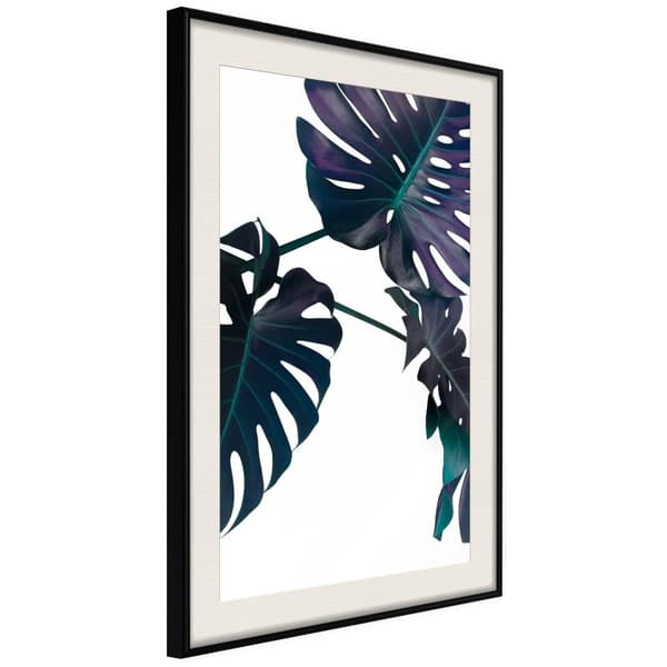 Inramad Poster / Tavla - Evergreen Monstera