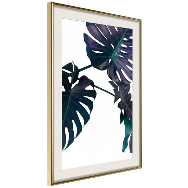 Inramad Poster / Tavla - Evergreen Monstera