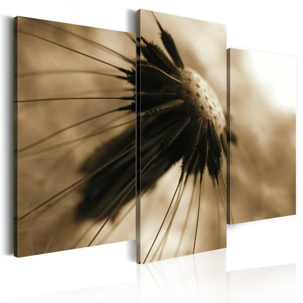 Canvas Tavla - A dandelion in sepia