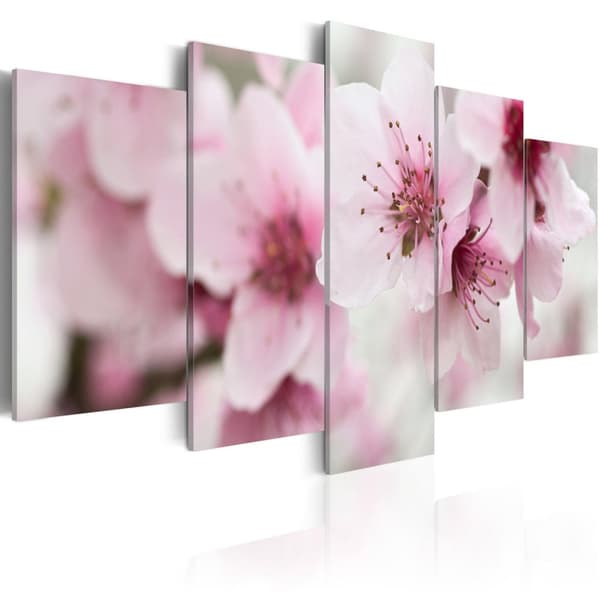 Canvas Tavla - Cherry- gentleness and beauty