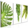 Miniatyrbild 1 av 4: Canvas Tavla - Beautiful Palm Trees (3 delar)
