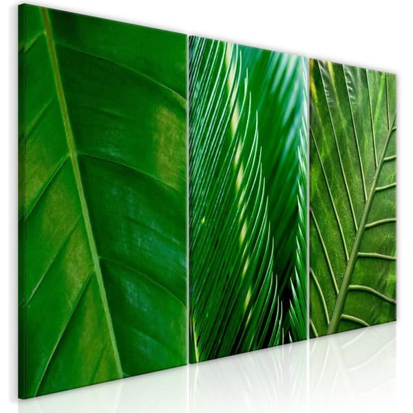 Canvas Tavla - Leaves (Collection) 60x30