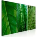 Miniatyrbild 1 av 4: Canvas Tavla - Leaves (Collection)