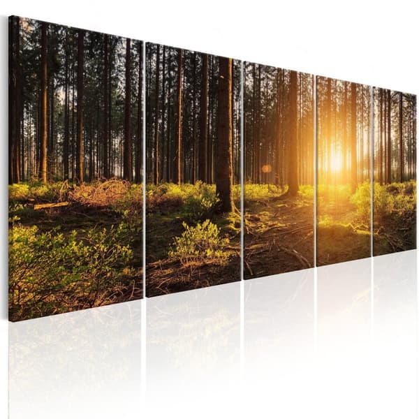Canvas Tavla - Summer Morning 225x90