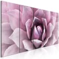 Miniatyrbild 1 av 4: Canvas Tavla - Agave (5 delar) Narrow Pink