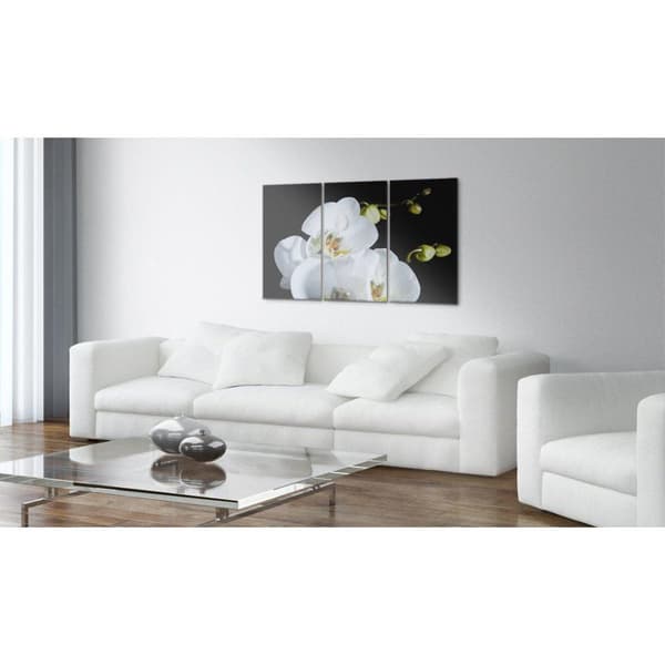 Canvas Tavla - Snöig orkidé
