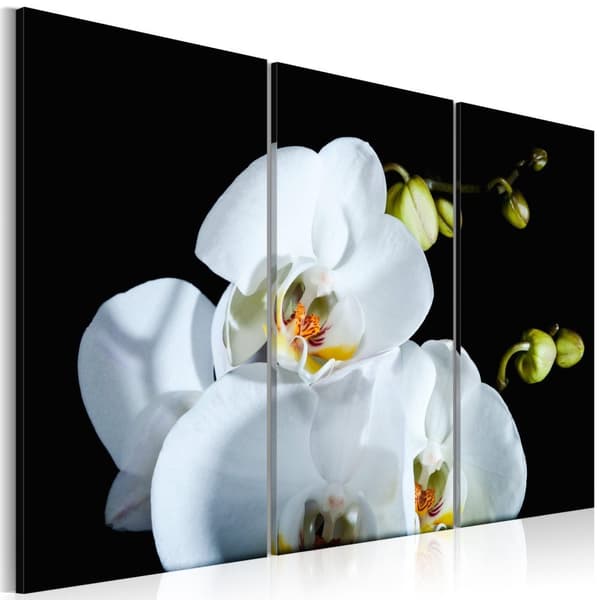 Canvas Tavla - Snöig orkidé 90x60