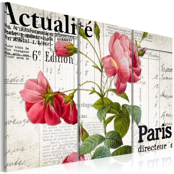 Canvas Tavla - Paris directeur