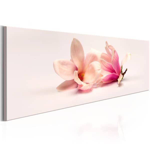 Canvas Tavla - Beautiful Magnolias 120x40