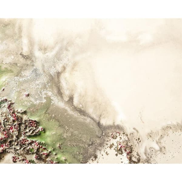 Petra Meikle De Vlas Natures Oasis Canvas Print