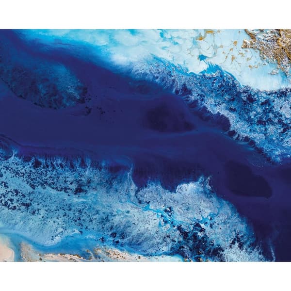 Petra Meikle De Vlas Out Of The Blue Canvas Print Blue/White 40cm x 50mm