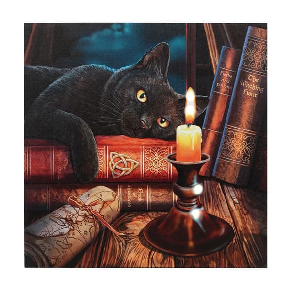 Lisa Parker The Witching Hour Light Up Canvas Plaque Multicoloured 30cm x 30cm