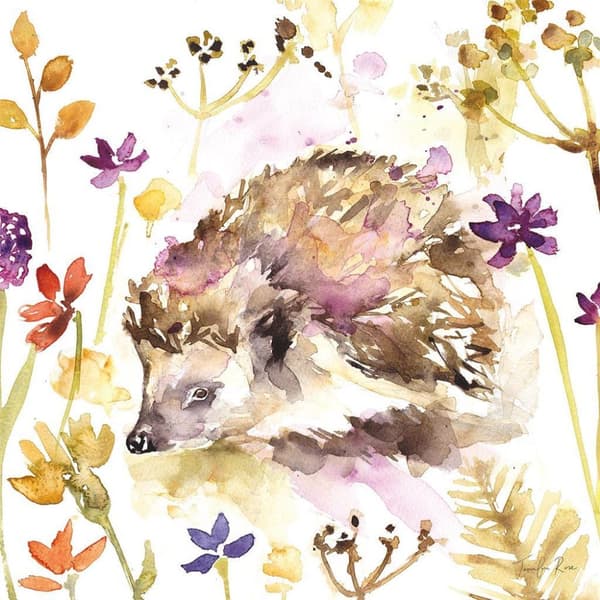 Jennifer Rose Hedgehog Canvas Print