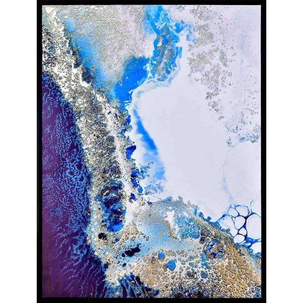 Petra Meikle De Vlas Reef Encounter Framed Canvas Print
