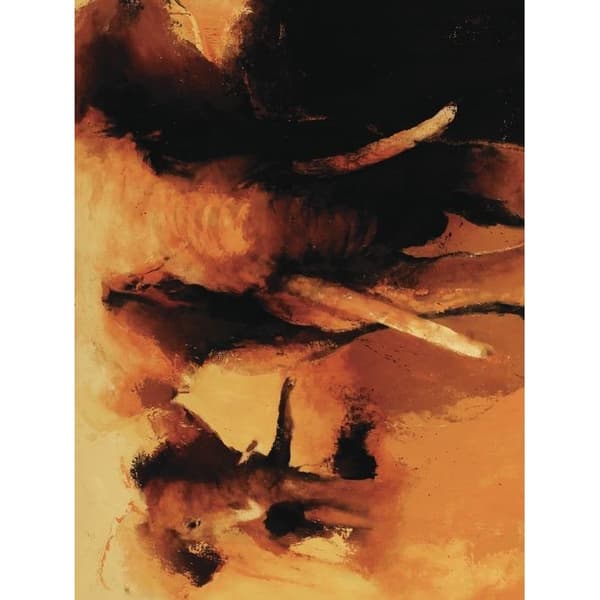 Wil Van Der Laan African Elephants Canvas Print