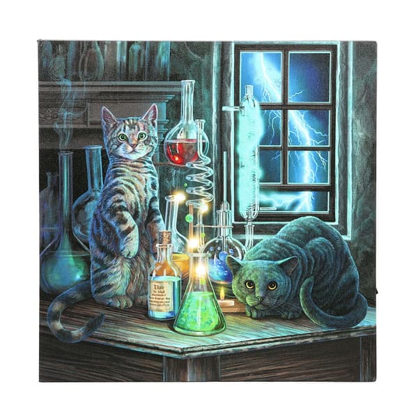 Lisa Parker Jekyll and Hyde Light Up Canvas Black/Multicoloured One Size