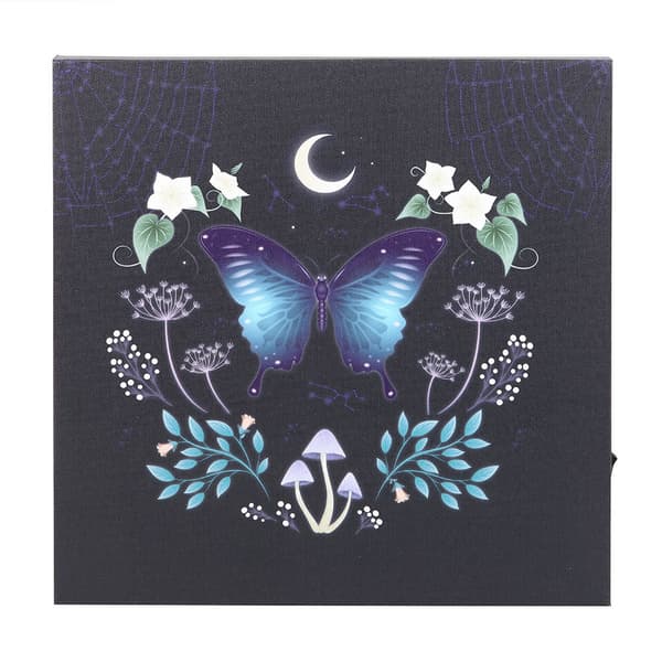 Something Different Midnight Moth Light Up Canvas Multicoloured One Size