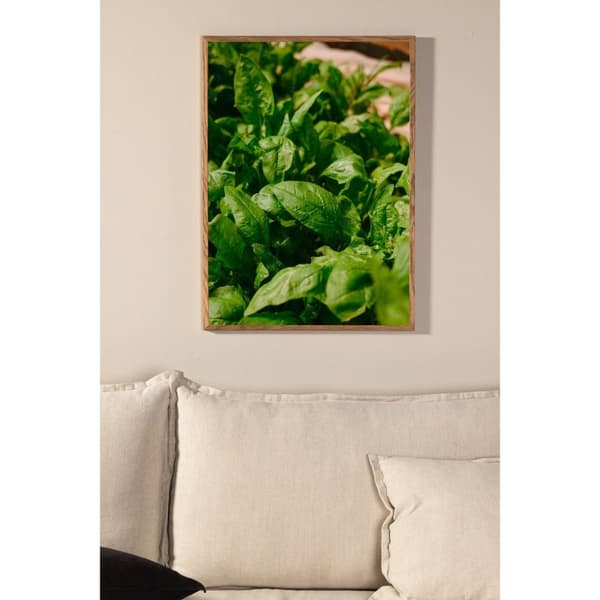 Gree leaf Poster
