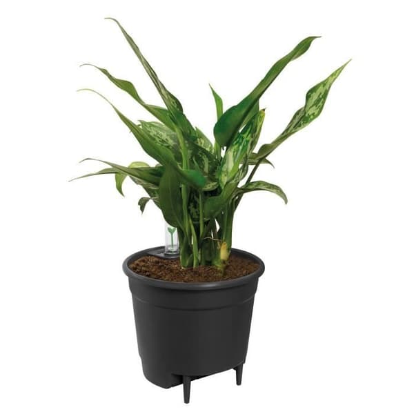 Elho självvattnande insats Blomkruka 33 - Svart - Ø 33 x H 31 cm - inredning; tillbehör - 100% återvunnet