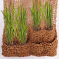 Miniatyrbillede 3 af 4: 4 Planteposer Coir stof 8 Poser Bankmåtte Skråmåtte til Pond liner