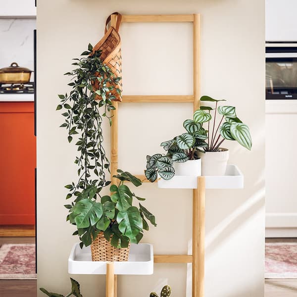 Plante Stand, STR13-WN, 31x27x130 cm, Brun